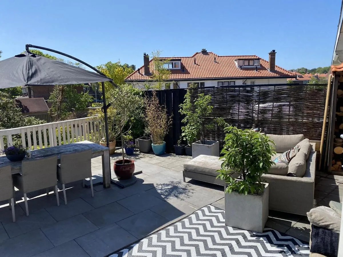 Luxury Home With Roof Terrace In Haag